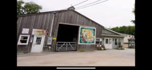 Suffolk lawmakers to vote on new designation for controversial Islandia horse farm