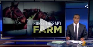 Dispute Between Pal-O-Mine Horse Farm, Which Provides Therapy For The Disabled, And The Village Of Islandia, Heats Up